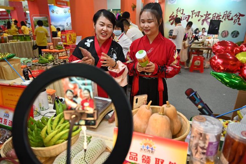 贸易公司的升级之路：案例分析